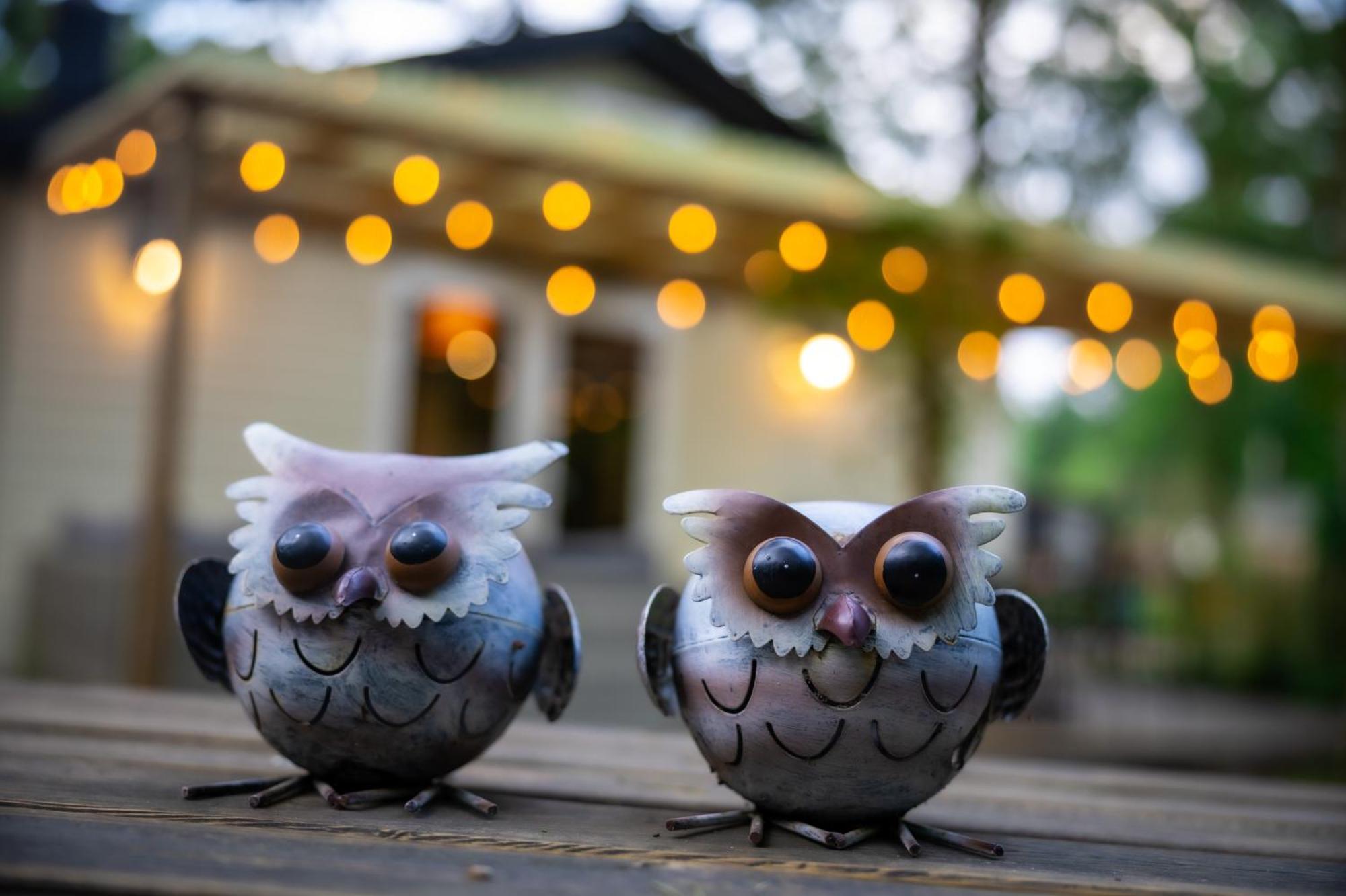 Chalet De Bosuil ズテンダール エクステリア 写真
